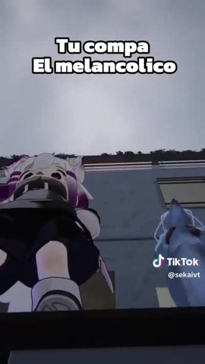 Xd