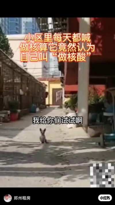 这波节目效果拉满了属于是，艺术成分浓度极高。堪比之前沙滩扫水视频的现象隐喻。