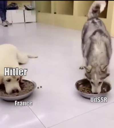 A template with potential.