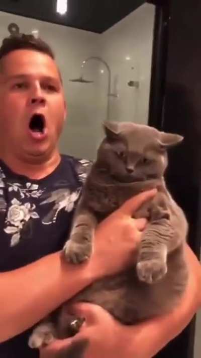 Cat : Ooooooo
