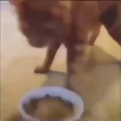 get weed everyday