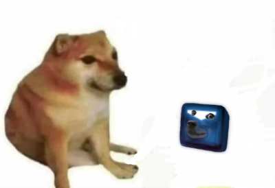 bonk
