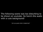 found this gem