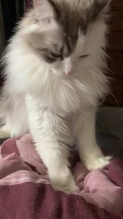 Kneady and startled
