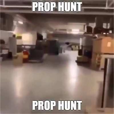 POOP hunt!!!!!111!!11!1! 🤣🤣🤣🤣🤣🤣😡😡🤗😅