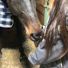 Chevy likes zippers