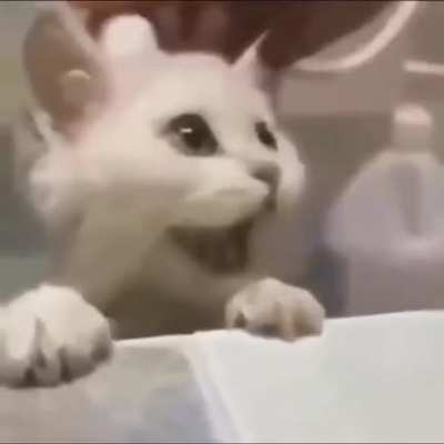 Awwwww