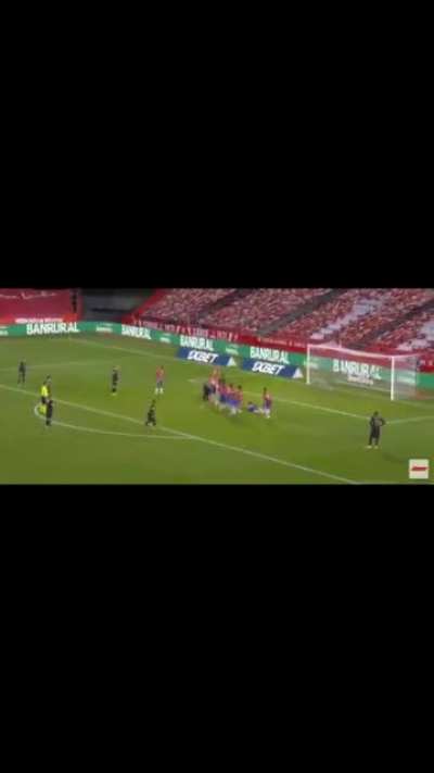 The only correct way to celebrate a Lionel Messi goal.