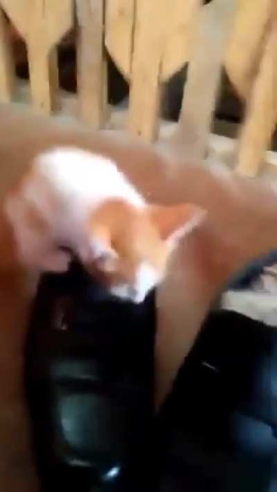 I need that cozy bed too