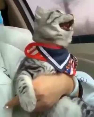 Le me after pandemic ends