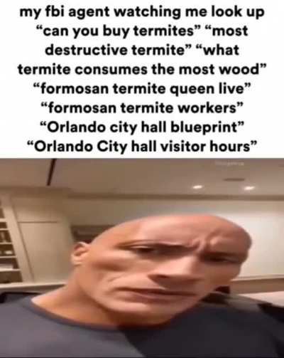 termite