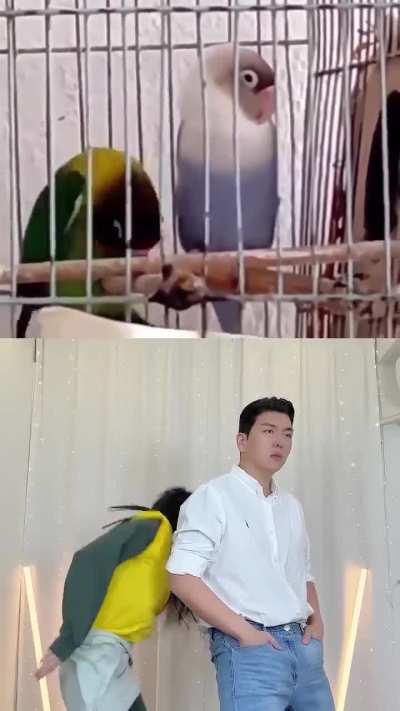 🤣 Que le pasaba???
