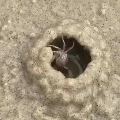 Natural engineering