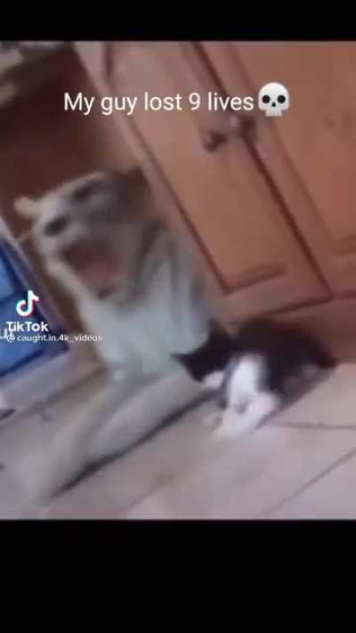 8 bitryan be like