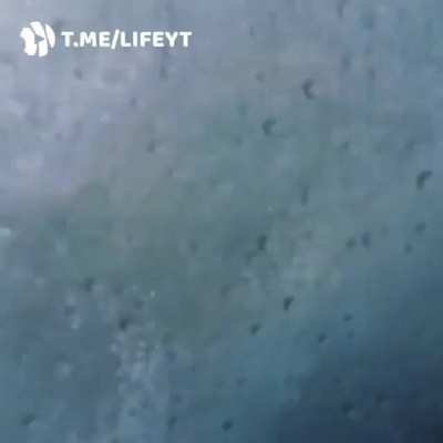 Поплывём на кораблике, говорили они. Будет весело, говорили они.