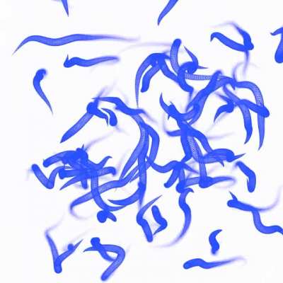 Animations of the generative slugs from my plot yesterday 🐌