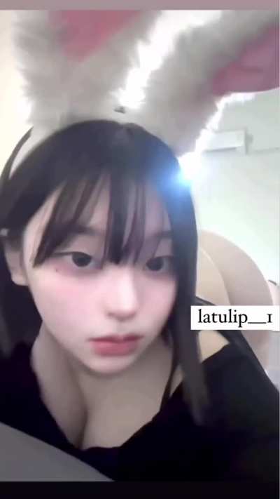 @latulip_ / @use_<wbr>bitte<wbr>r_031<wbr>2