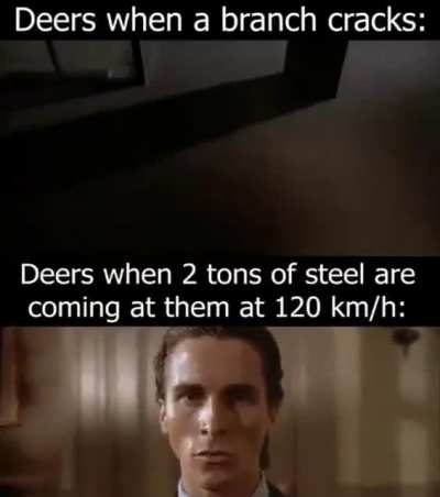 Deer be like: