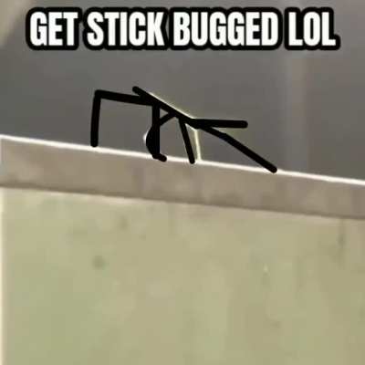 Lol