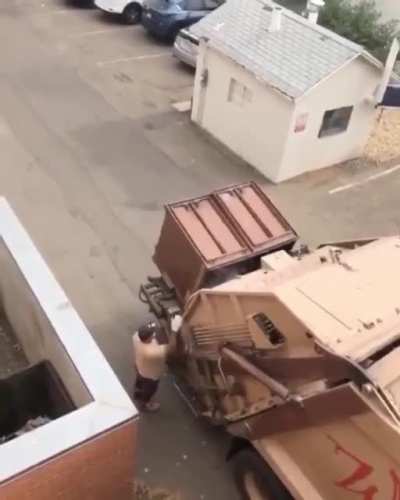 The trash panda was just chillin