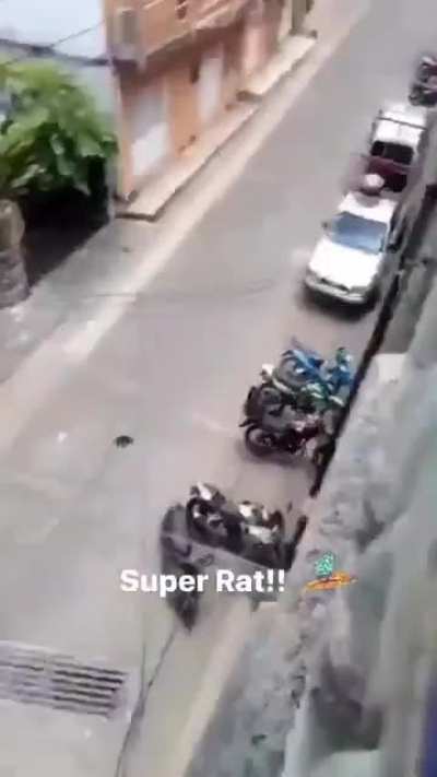 Super jerry