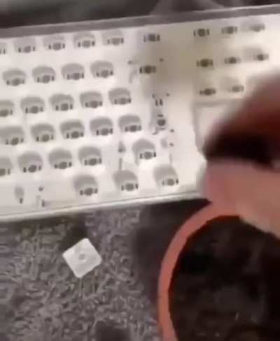 Keyboard