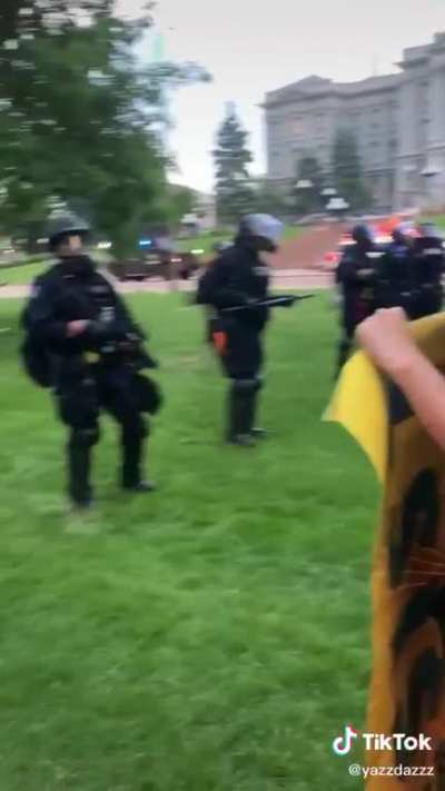 Police rip sign out of peaceful protester’s hands and pepper spray them