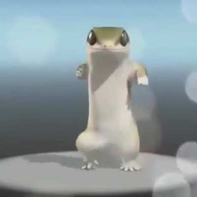 É um macaco chat