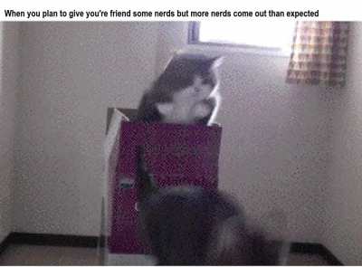 Now that wasn't supported to happen