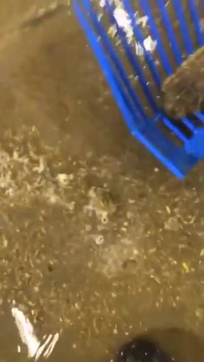 Sudden Twist at the end.