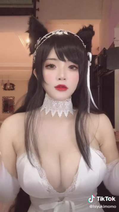 Big boobed girl with cat ears (@hiy<wbr>ukimo<wbr>mo/@h<wbr>iyuki<wbr>mos)