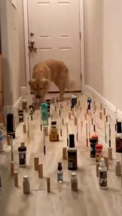 The majestic look