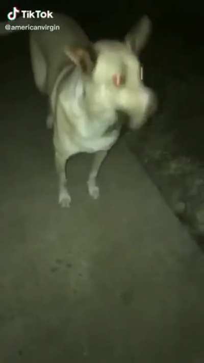 Please drop it :'(