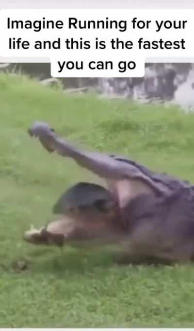 😂