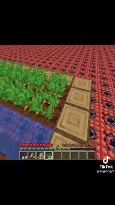 What da Enderman doin?