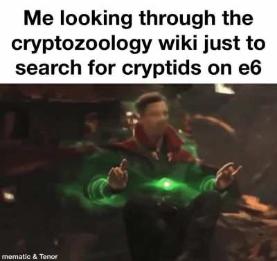 Furry_irl