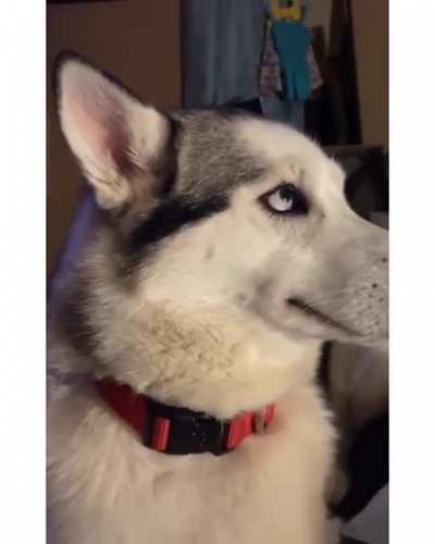 The eyes.