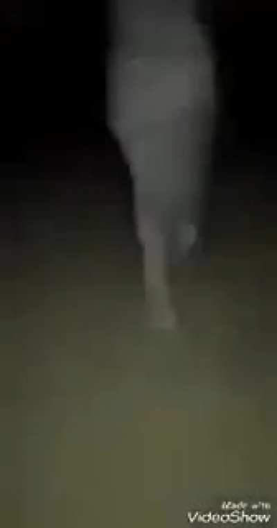 cursed_rape