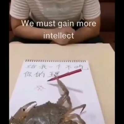 rule