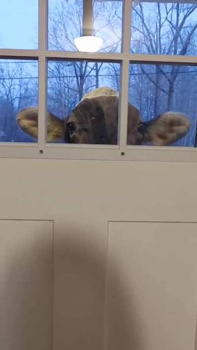 Hi I’m your new neighbor