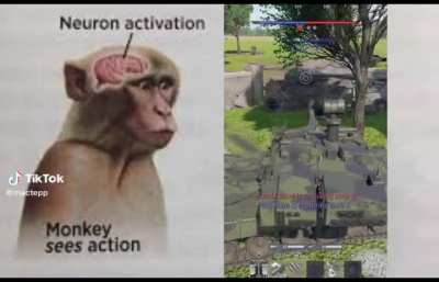 we are all simple monke