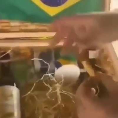 Lembraram de comprar os itens do mito?
