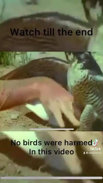 Inception level deception