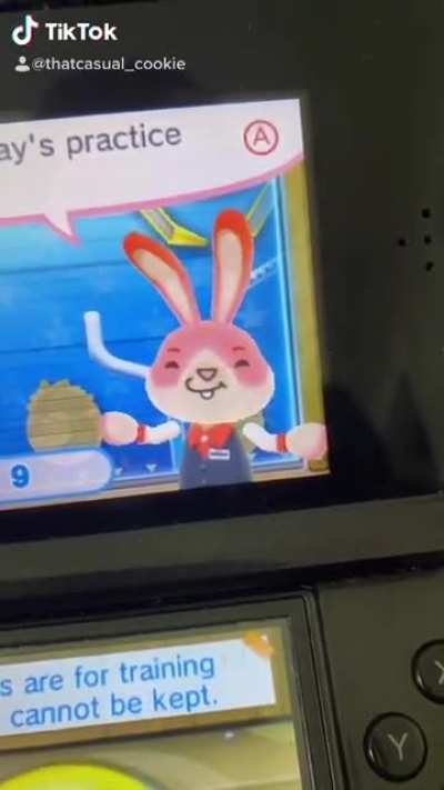 Buff Bunny