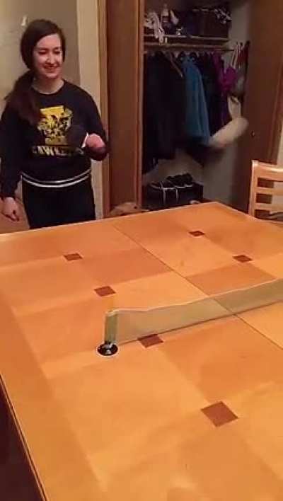 Ping pong is fun