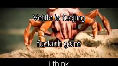 vettle spiner ahah