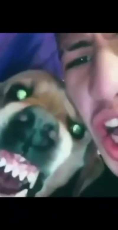 Mateo😎😎🤙