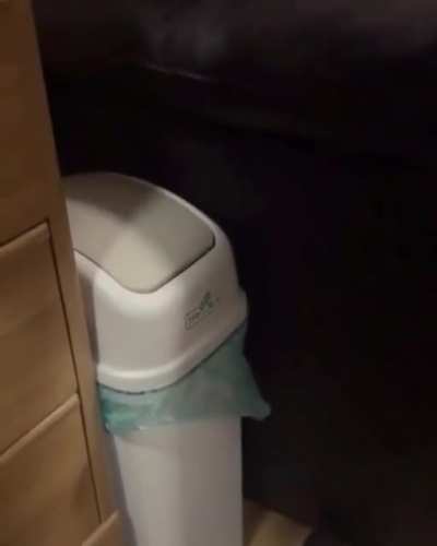Time to take the trash out