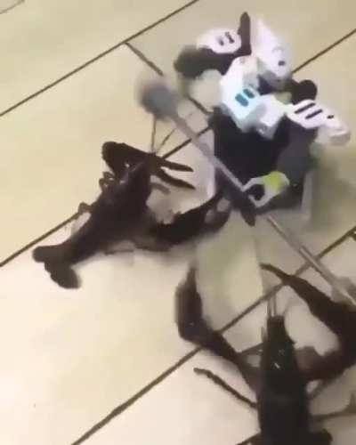 bossfight rule