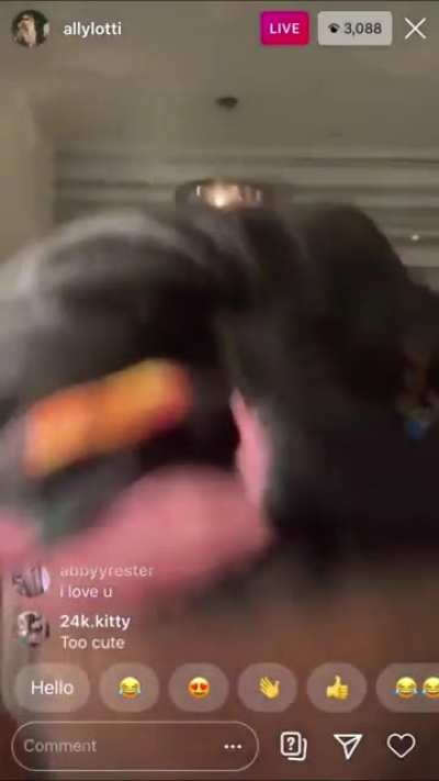Picture she’s giving you head with your cum all over her face